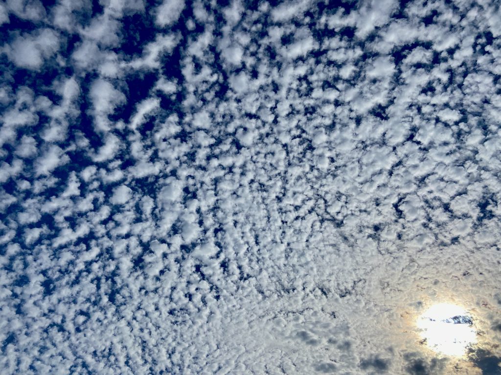 Dotten Clouds in the sky